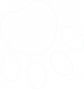 Background Overlay Image